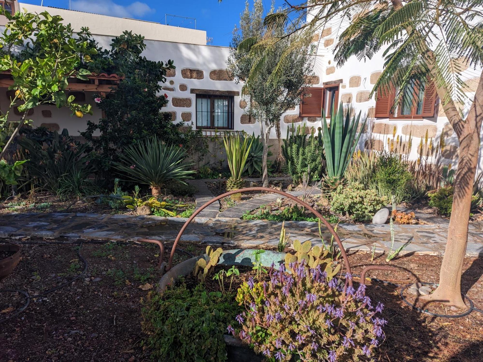Casa Roberta Agua Διαμέρισμα Arona  Εξωτερικό φωτογραφία